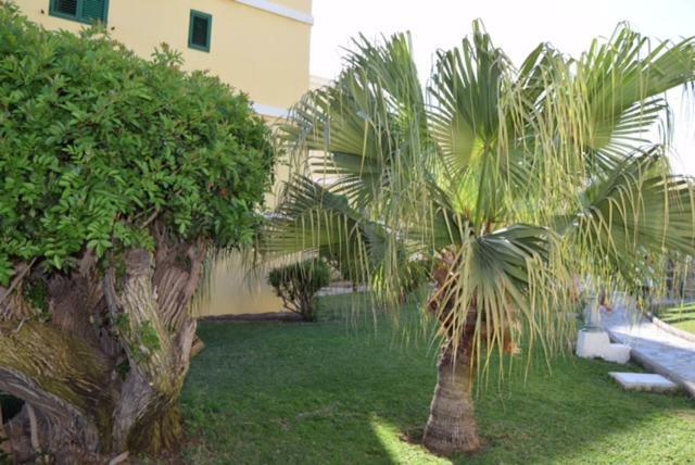Tara Apartment Playa del Inglés Exterior foto
